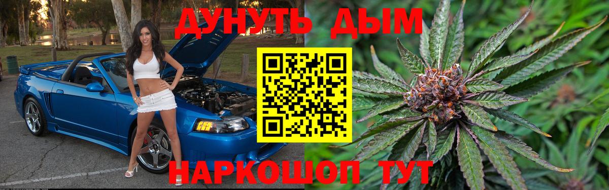 Бошки Шишки планчик  Бошки Шишки SATIVA & INDICA  Чита  Вход с VPN  Бошки марихуана сатива  Марихуана Ganja 